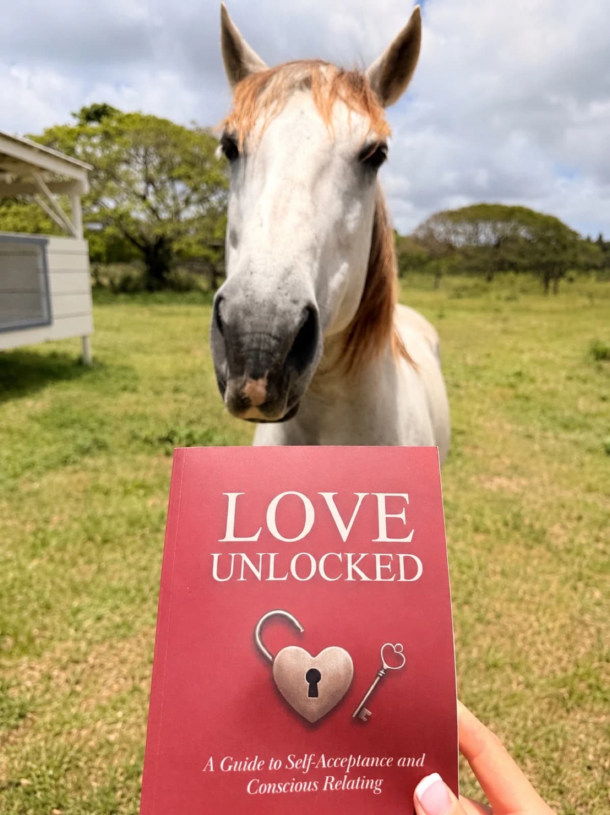 What Shaped the Way You Love - Zac Spowart | Love Unlocked
